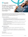Download cover image for file Flexibility for supplemental income with Equimax