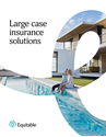Download cover image for file Large case insurance solutions