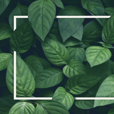 La série de webémissions de l’Assurance vie Équitable mettant en vedette Invesco