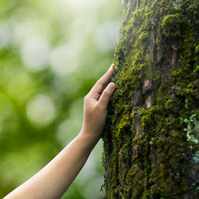 Earth Day: A simple way to talk about sustainable investing