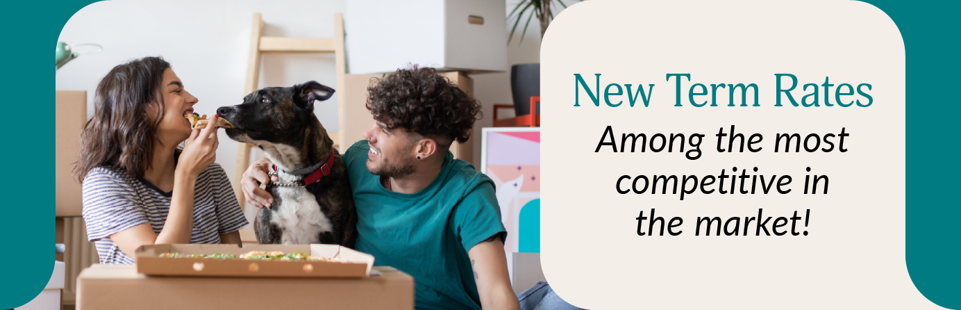 Term-product-page.png Term-product-page.png