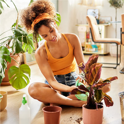 Equitable’s Grow Your Way Home contest