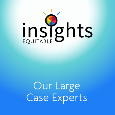 Equitable Insights: Our Large Case Experts
