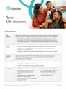 Download cover image for file Term Insurance Product Summary
